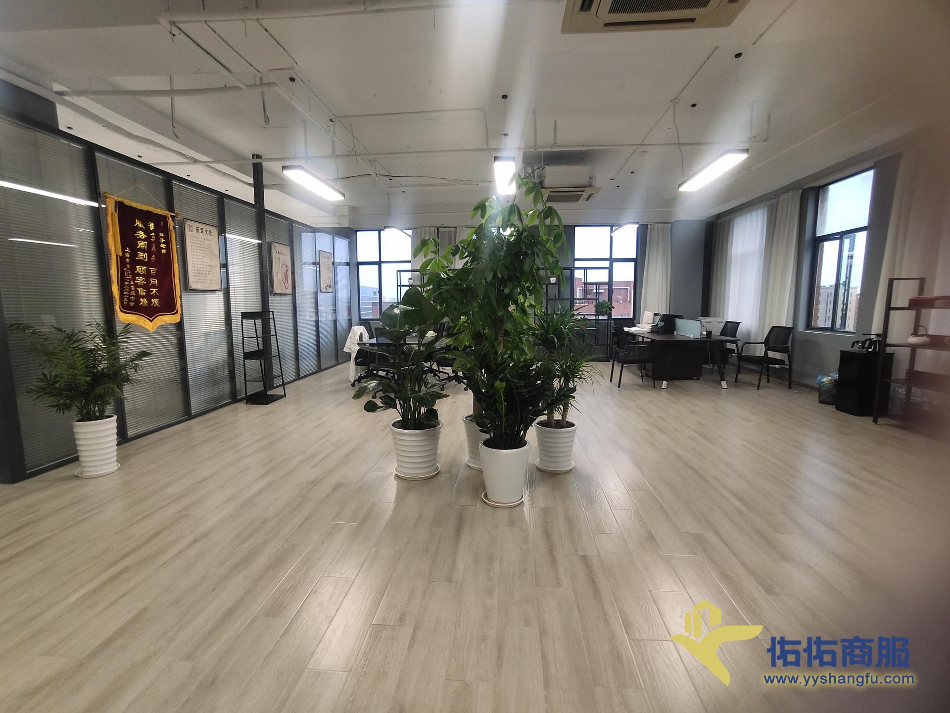 上海西郊商务区 新出高层300平  适合展厅直播美容全程免费服务
